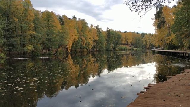 «Пехорка» — один из любимых парков отдыха среди жителей Московской области. Балашиха смотреть онлайн