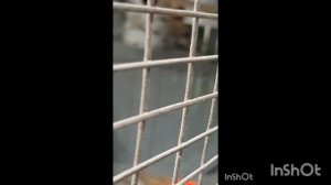 ПроПутешествия.Дагестан.с.Каспий.День9.Фильм21 .mp4