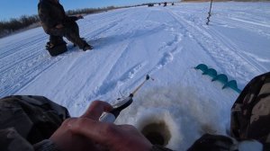 ПОСЛЕДНИЕ ДНИ НА ЛЬДУ, Рыбалка на крупного окуня по последнему льду