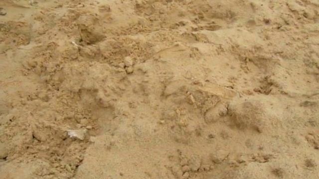 Адамант-ф25 (www.геосканер.рф) смотреть онлайн