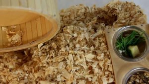 DIY ОБУСТРОЙСТВО КОНТЕЙНЕР ДЛЯ ХОМЯКА / НОВЫЙ ДОМ ДЛЯ ХОМЯЧКА / NEW HOUSE FOR HAMSTER / Алиса Изи