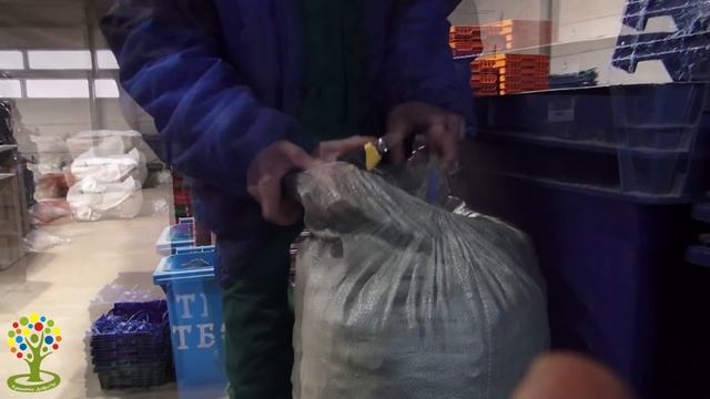 Сдача и переработка Крышечек ДоброТы
