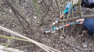 Обзор сучкореза Gardena