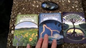 Oracle Reading, Steven Farmer's Earth Magic Oracle Cards (Week of April 13, 2015)