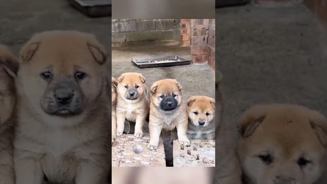 Вы психически здоровы