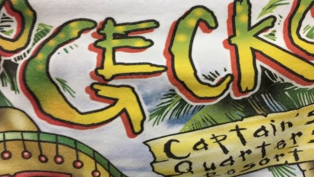 Nylon Spandex DTG Printing with Image Armor LIGHT Shirt Formula смотреть онлайн