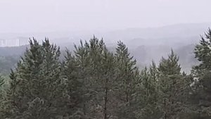 Санаторий Вёшенский четвертый день