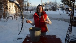 Простая ловушка для мышей: своими руками