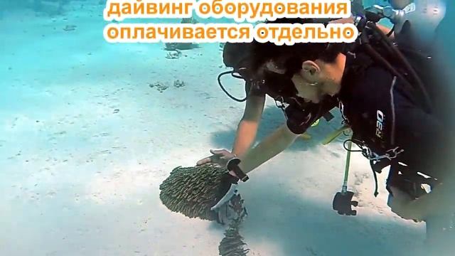 скуба смотреть онлайн