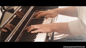 Yamaha CLP 745 Sound Demo