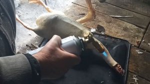 Опаливание гуся мини горелкой