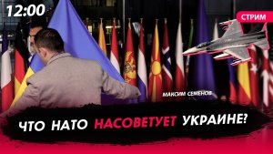 Что НАТО насоветует Украине? [СТРИМ]