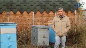 Сколько стоит мёд