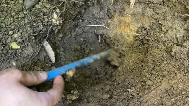 Treasure Hunting By Metal Detector / Metal Detecting