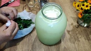 ПОЛНАЯ ОЧИСТКА ОРГАНИЗМА! КВАС на чистотеле по Болотову. Подробно