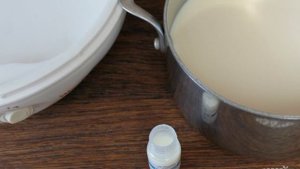 Йогурт из топленого молока