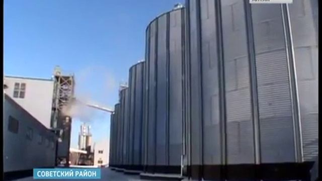 Агрохолдинг Гудвилл - Единственное предприятие в России, которое выращивает зеленый горох смотреть онлайн