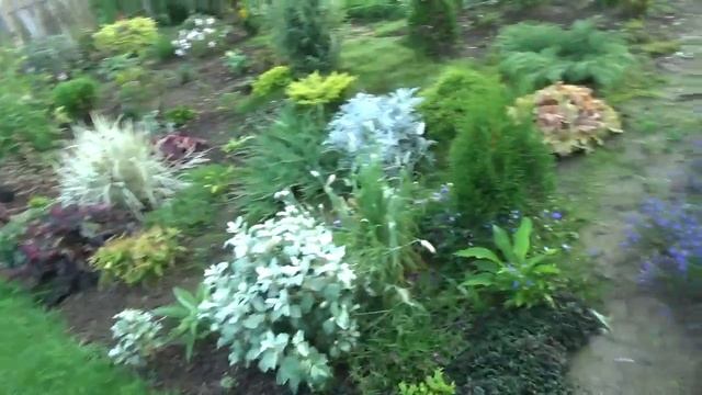 Моя клумба декоративно -хвойная ,на 28. 08. 2019 г. смотреть онлайн