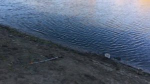 Рыбалка на реке Тура в октябре красивые места !!!