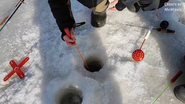 Рыбалка в Красногорске, Спортзона