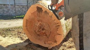 Husqvarna 346xp vs. Stihl MS 250 (same bar & chain)