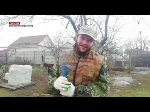 Актеры брянских театров призвали брянцев остаться дома