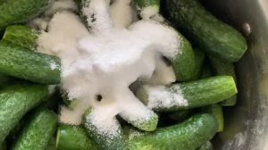 Квашеные Огурцы И Закваска