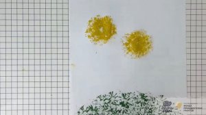 Мастер- класс: Нетрадиционные техники рисования «Одуванчики»