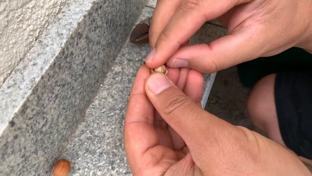 VLOG ПРОБУЕМ ПЛОДЫ ИЗ НАШЕГО САДА \ МУЖ ИСПЕК ВКУСНЫЙ ХЛЕБ С ЗЛАКАМИ смотреть онлайн