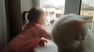 Развитие ребёнка в 2 года и 5 месяцев. Развитие ребенка в 2.6 года