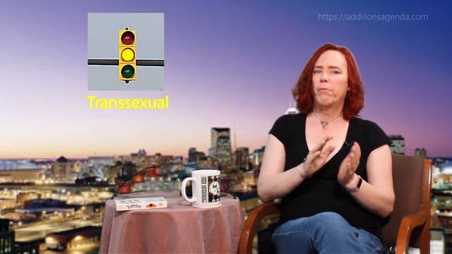 Ask Addi: What's the difference between transgender, transexual and tr@&*)? (ep.2) смотреть онлайн