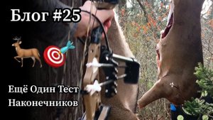 Тест охотничьих наконечников (бродхэдов) всех ценовых категорий (от $1 до $30 за штучку)