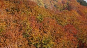 Autumn in irpinia