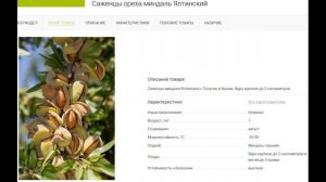 Прорыв! Миндаль морозостойкостью -34С