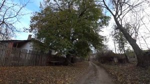 Глубинка России | Russian province  Ростовская область село Первомайское