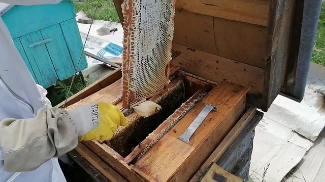 Как мы добываем мёд. смотреть онлайн