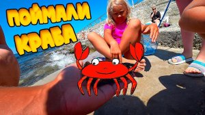 Папа поймал Ксюше много больших крабов с большими Клешнями...