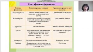 Ферменты, химическое строение, классификация  Регуляция ферментативной активности  Энзимопатии  Осн