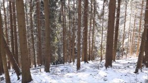 Gubalowka. Zakopane