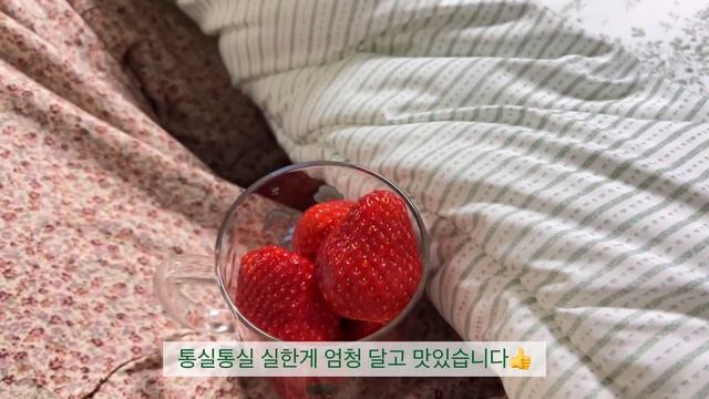 SUB|신혼요리 브이로그|오이토스트에 반하다?.짜파게티엔파김치지.김치찌개.제육볶음.명란 아보카도덮밥 만들어 먹는 집밥 먹방 일상 브이로그 смотреть онлайн