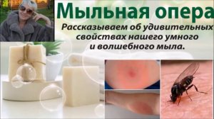 Умное мыло овсяное.