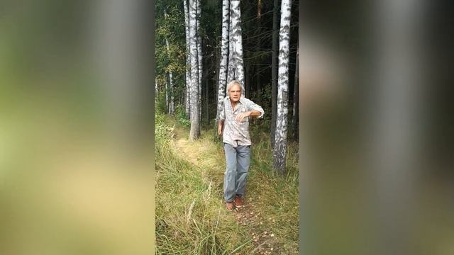 Научная Школа Саморегуляции | Владимир Никитин | Олег Кривулин смотреть онлайн