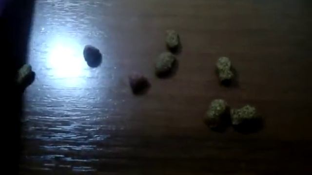 Корм для кота советы Для друга самый плохой канал смотреть онлайн