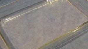 Готовим вкусно со Светланой морского окуня на гриль сковороде.