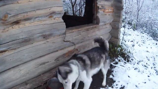 ВЫПАЛ ПЕРВЫЙ СНЕГ смотреть онлайн