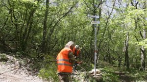 Май 2023. Расчистка лесных дорог для пожарной техники