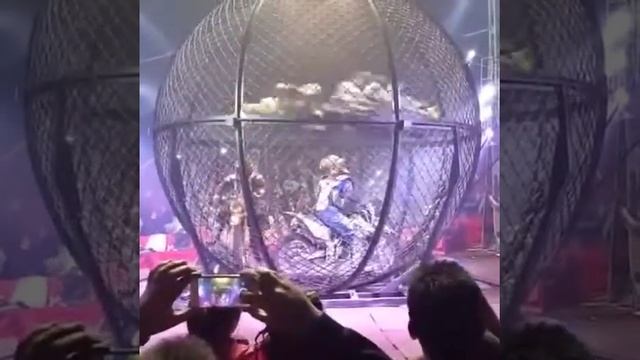 Bike stern смотреть онлайн