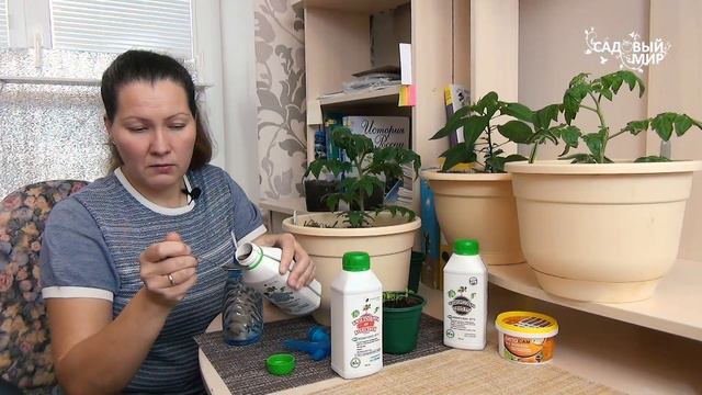 Огород на окне с Набором Экодачника! Урожай без химии