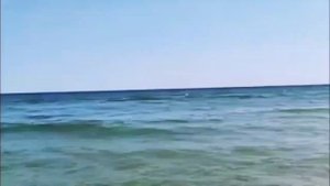 Приморск.Пляж 8 августа 2023.Запорожская обл.