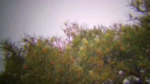 Konusuper 120mm Refractor Telescope/ Sky-Watcher Evostar-120 Achromatic Refractor смотреть онлайн